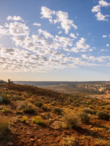 People setting up a campsite in the middle of a desert with red sand, rocks, and small green bushes.