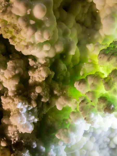 A close-up view of green and white mineral formations growing on a cave wall.