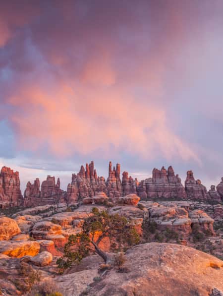 The Canyonlands Needles District at sunset.