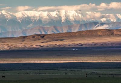 web2000_ericerlenbusch_delta20150526-img_2696_