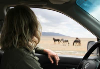 web2000_rosieserago_delta_great-basin-wild-horses_serago10_