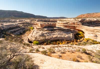 Natural Bridges National Monument