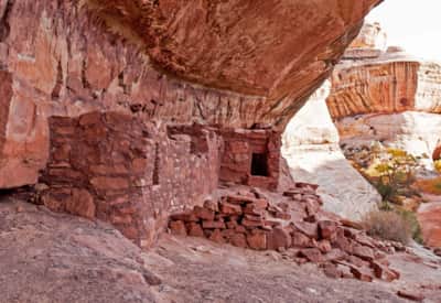 Natural Bridges National Monument