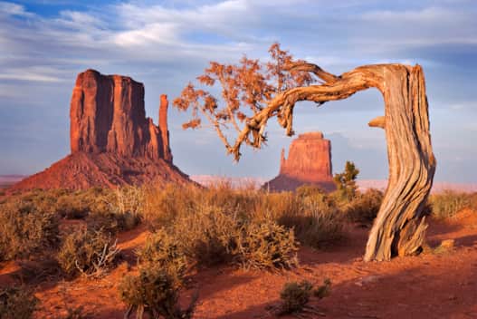 Combined with the surrounding mesas, buttes and desert environment, Monument Valley truly is one of the natural wonders of the world.