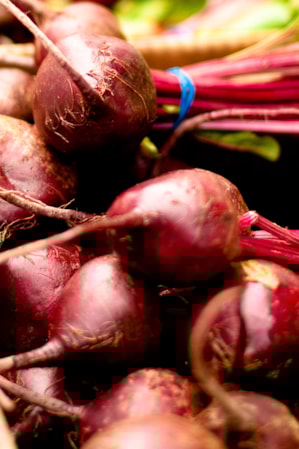experience_moabfarmersmarket