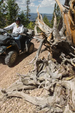 The Max Reid Atv Trail Meet Max Reid Visit Utah