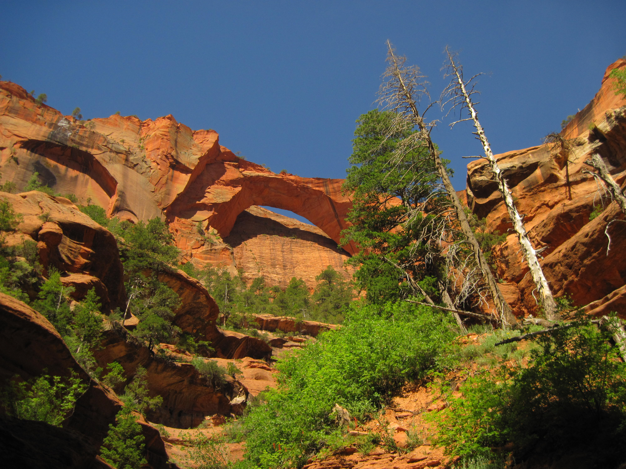 Camping near kolob canyon hotsell