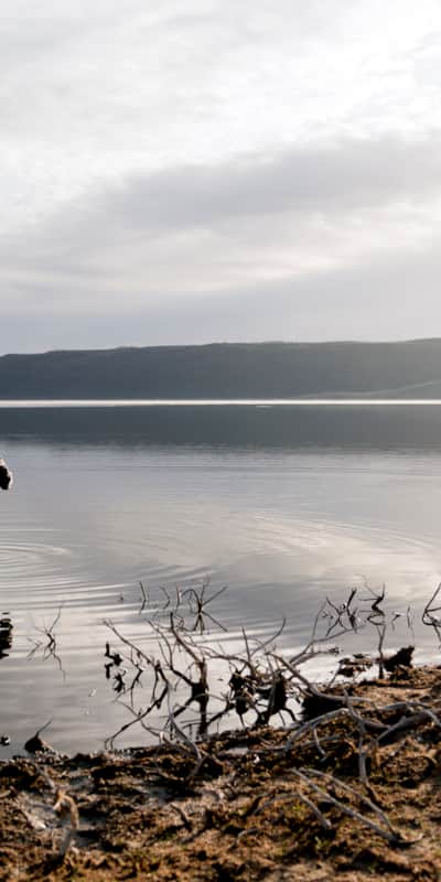 Affectionately referred to as “The Berry” by local anglers, Strawberry Reservoir is widely considered to be the top stillwater fishery in Utah — and likely one of the best in the country.
