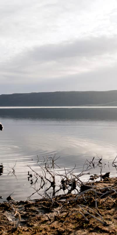 web2000_20160721_utah_strawberry_reservoir_fly-fishing-_dsc2887-01