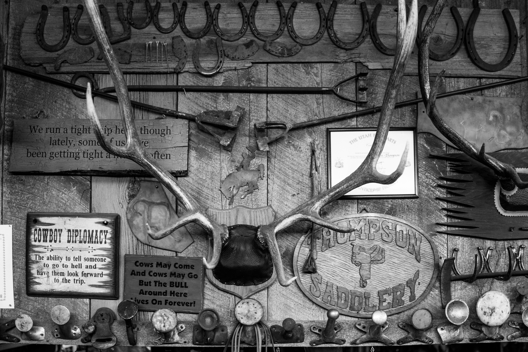 web2000_adiamond-20170421_uot_thompsonsaddlemakers_184127