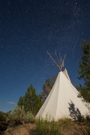 A canvas teepee nestled among trees under a starry night sky.