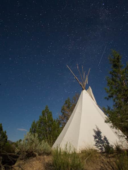 A canvas teepee nestled among trees under a starry night sky.