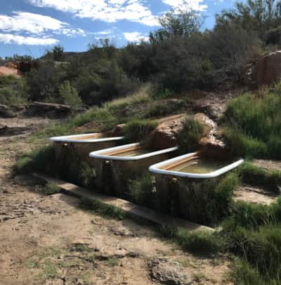 web2000_lindycallahan_roost_mystichotsprings