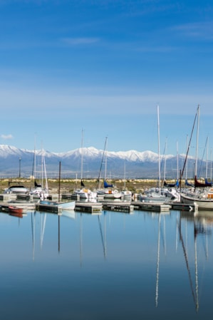 Multiple sailing boats docked on a lake, with snow-capped mountains in the background.