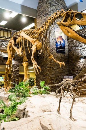 5 Spots to See Dinosaur Bones Near Me: A Local Guide  