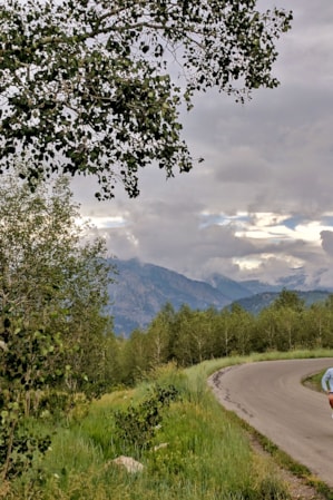 A person cycles on a road surrounded by aspen trees and mountains.