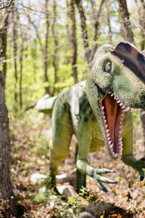many dinosaurs run - Playground