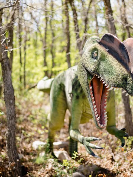 A fake dinosaur wearing a cowboy hat in a forest.
