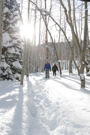 Sons of the Forest: Where to find water during winter in video game? Know here - The Economic Times