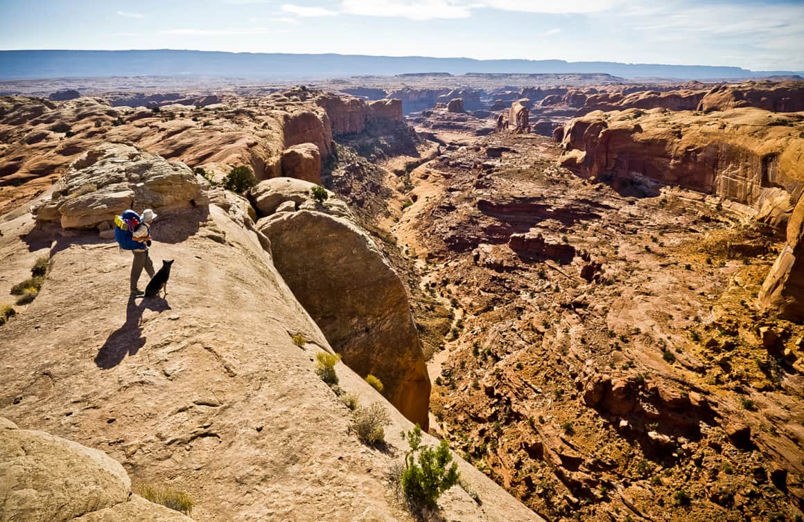 Man's best friend paired with a great view.