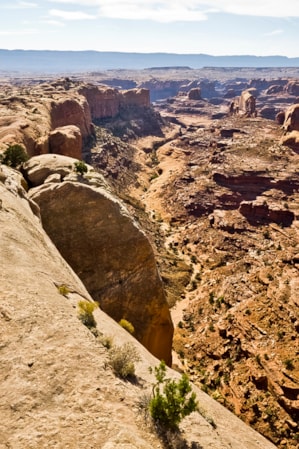 A hiker and their dog overlook the edge of a canyon.