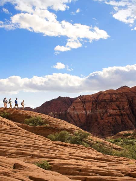 Five hikers stand on top of a plateau, overlooking cliff faces and an open field dotted with desert plants.