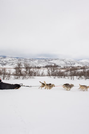 web2000_parkcityguide__schirf_visitut_dsc_4882