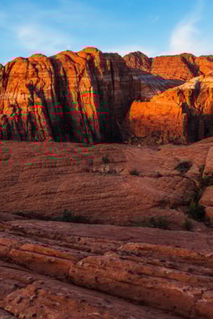 web2000_rootsrated_snow_desert_20141108-img_6748-jmp-photography-uot