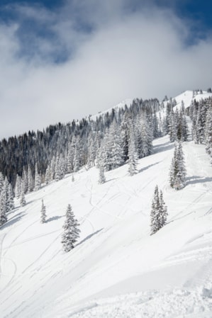 The ridge of a snow-covered mountain with two snowmobile riders traveling along it.