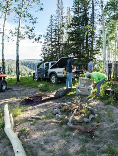People setting up a campsite in the woods, surrounded by green aspen trees.