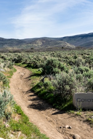 A trail sign reading 'Coyote Trail' in front of a gravel path with trees on each side.