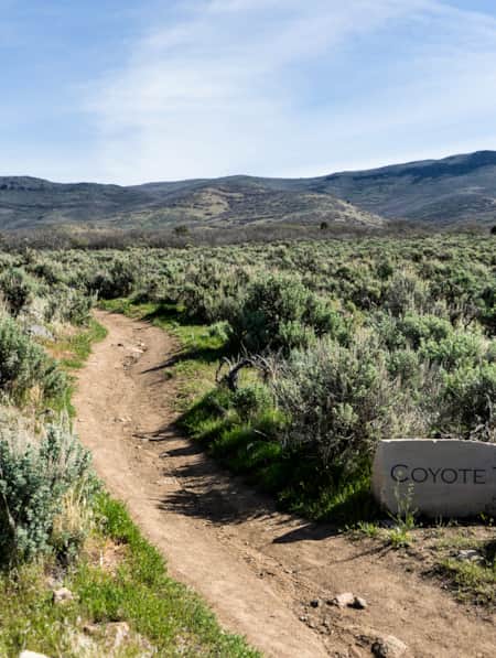 A trail sign reading 'Coyote Trail' in front of a gravel path with trees on each side.