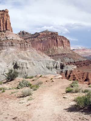 web1300_ledgeofcr-istock_000002033305large