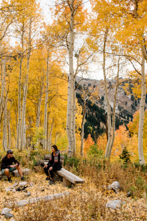 web2000_leafpeeping_lcc___utahofficeoftourism_fallfoliage_hikesdrives_hirez_austendiamondphotography-33