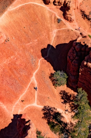 web2000_morethanjust-parks_dixie_aerial33