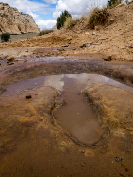 A large dinosaur print imprinted in the ground in a secluded desert area, filled with a small amount of water.