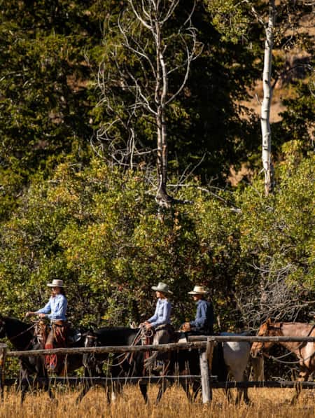 Four people riding horses through a wooded area.