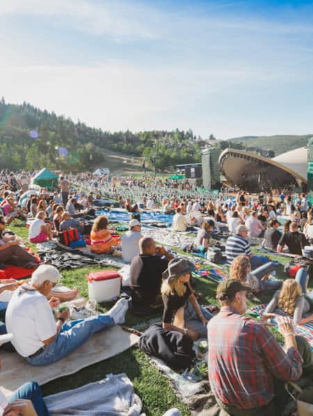 An audience seated on a lawn at an outdoor concert venue.