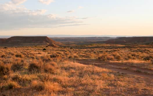 web2000__mccoy_flats_vernal_area_sara_hobbs_img_2763