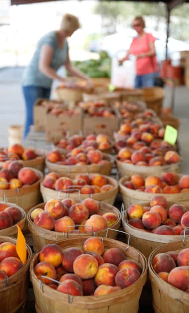 While an abundance of fruit is grown in Box Elder, none are as famous as the peaches.