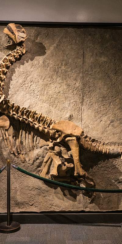 seeing-the-dinosaurs-of-utah-valley-02-cmk-photography