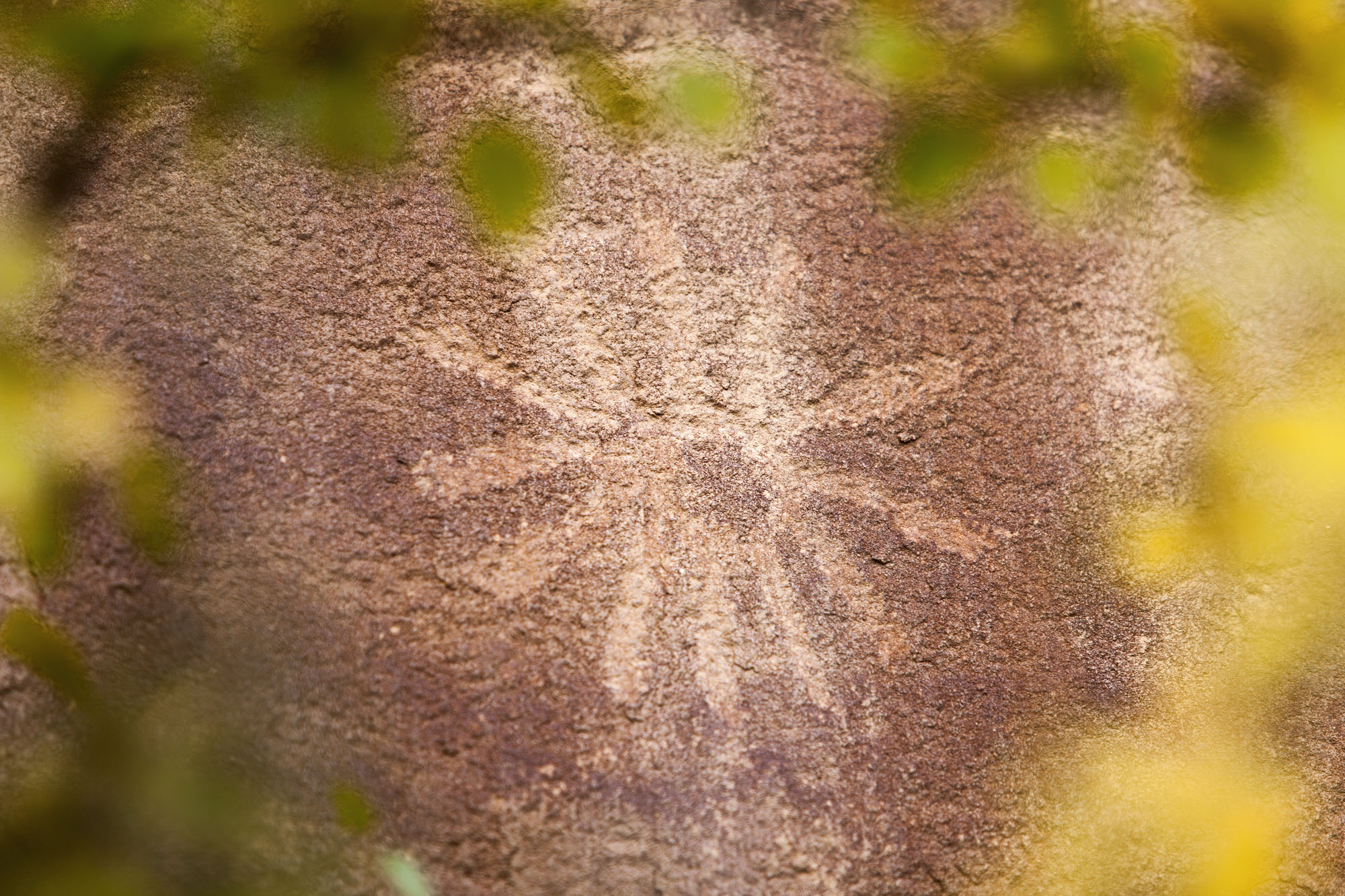 uot_tavaputs_141_web2000