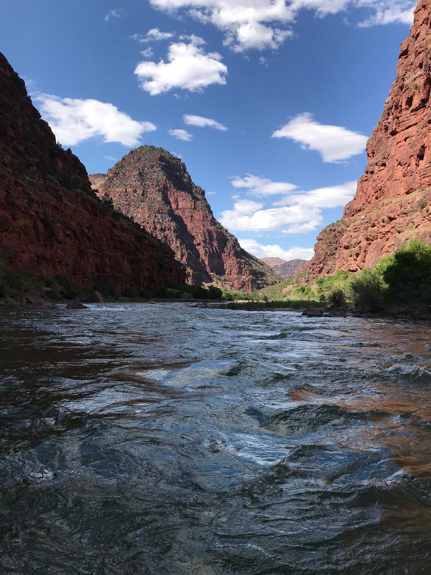 5 Reasons to Hire a Guide to Run Utah’s Rivers  Visit Utah
