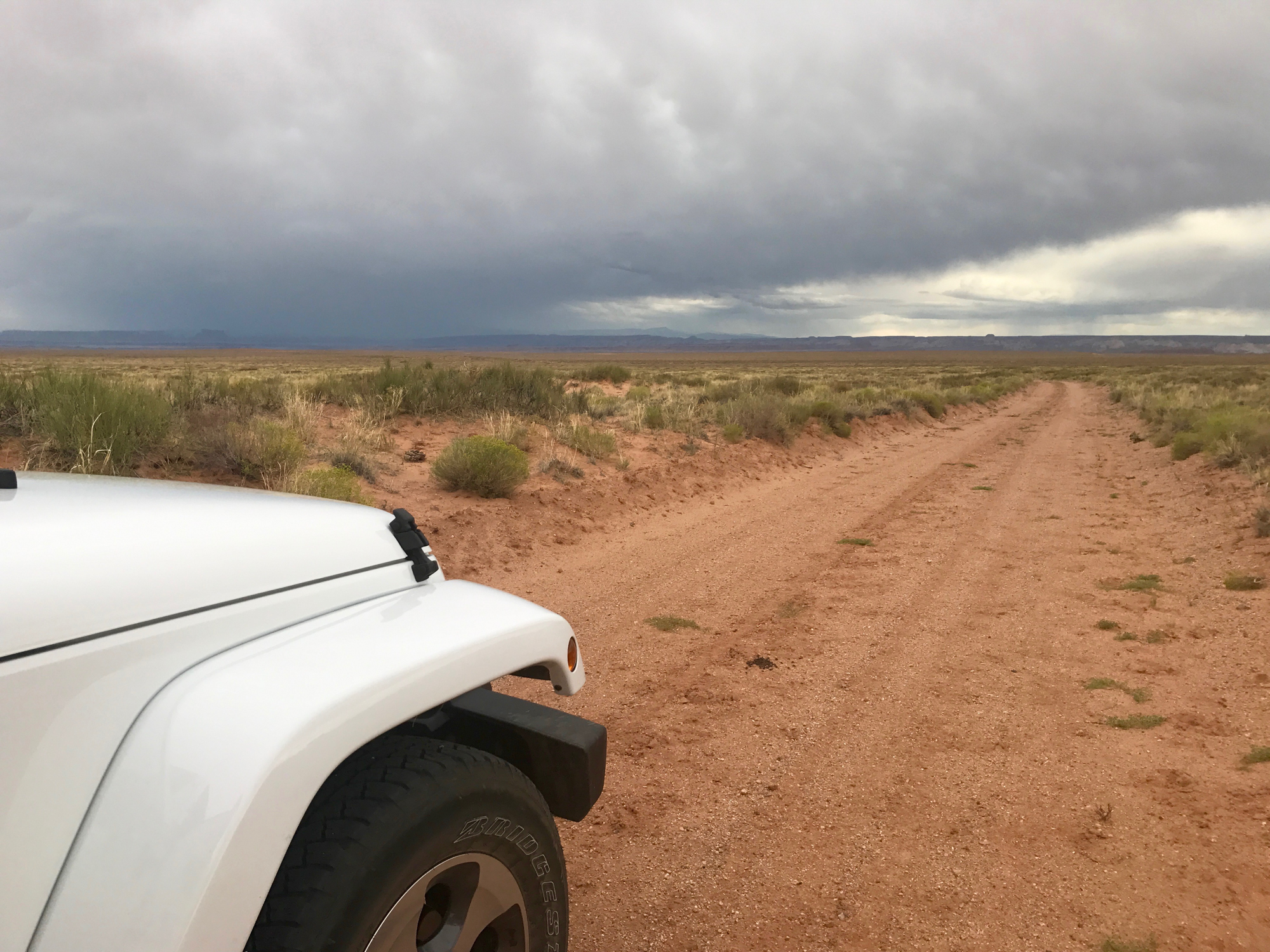 web2000_lindycallahan_roost_backroads