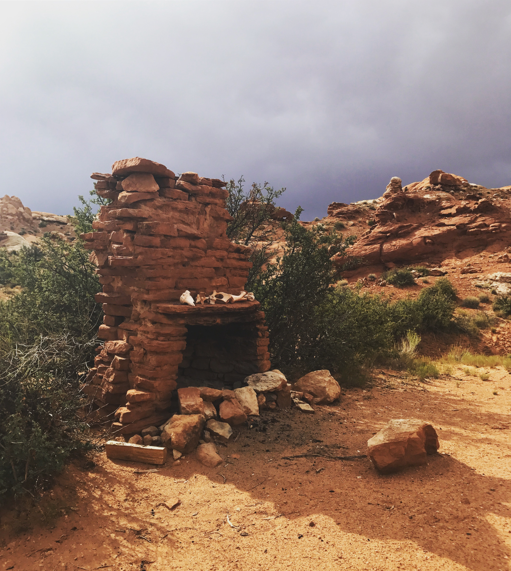 web2000_lindycallahan_roost_theroost2