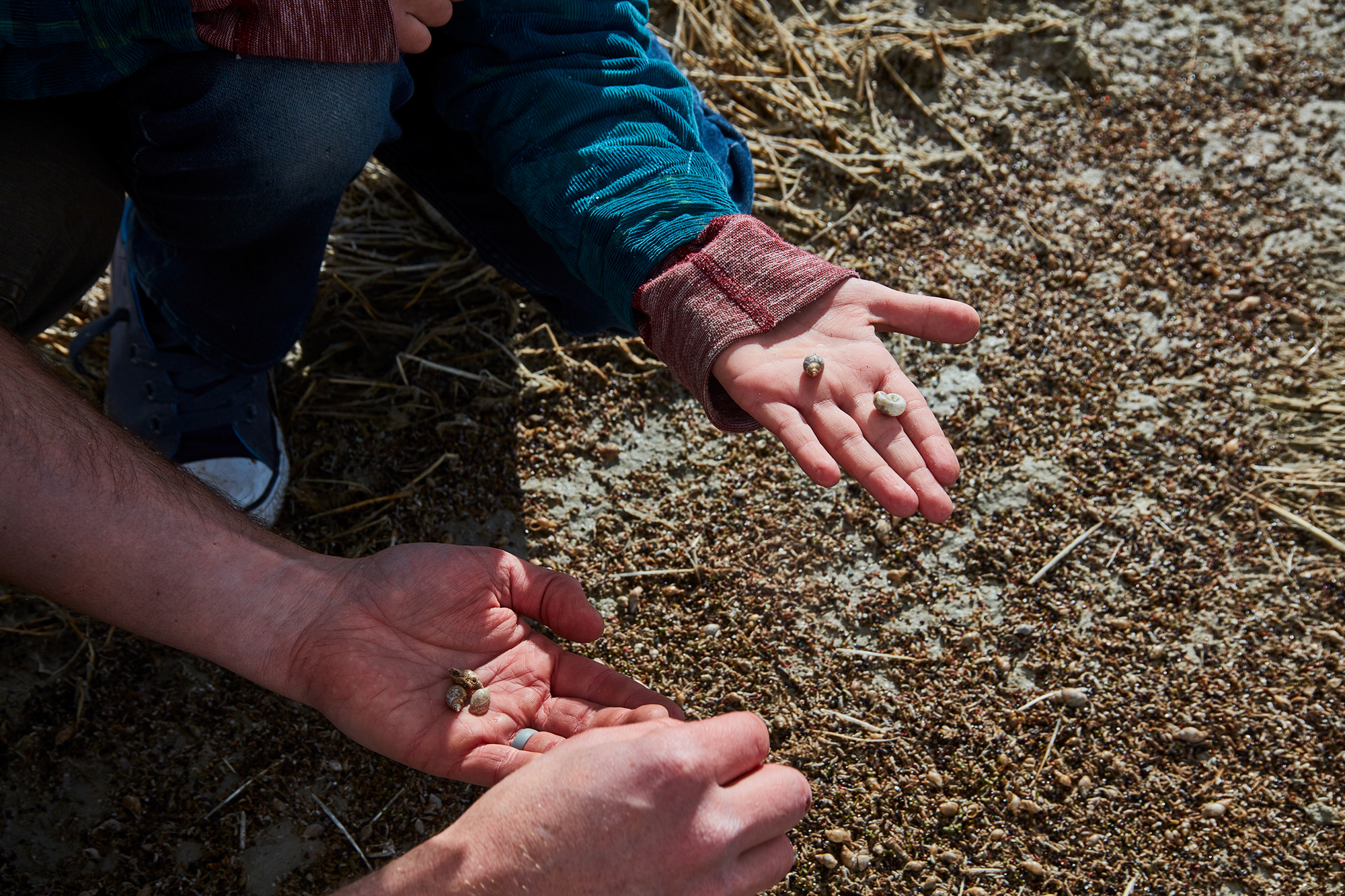 web2000_slowtravel_ogdeninsidersguide_jameswinegar_ut_tourism_ogden_killian_fam_antelope_island_0110