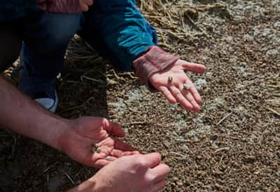 web2000_slowtravel_ogdeninsidersguide_jameswinegar_ut_tourism_ogden_killian_fam_antelope_island_0110