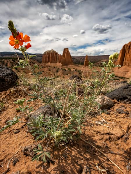 utah state park road trip