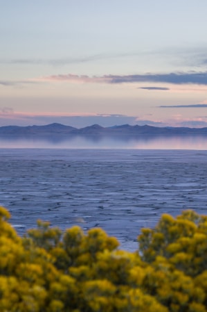 Visiting The Great Salt Lake State Park | Visit Utah