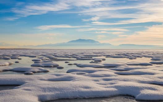 FRIENDS of Great Salt Lake offer a variety of educational resources for learning more about the Great Salt Lake's unique ecology.